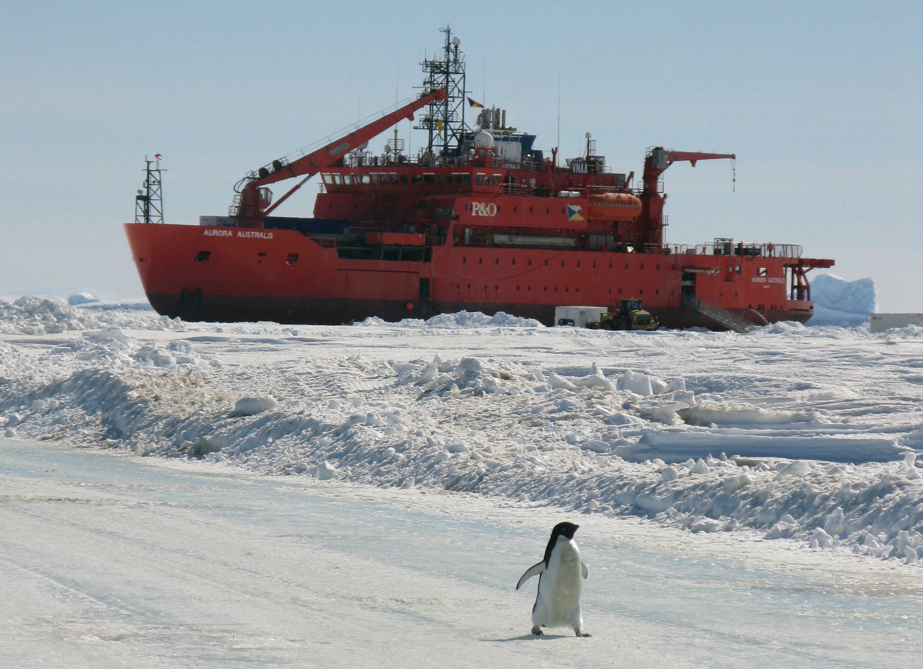 The Aurora Australis ship parked on ice with a penguin in the foreground