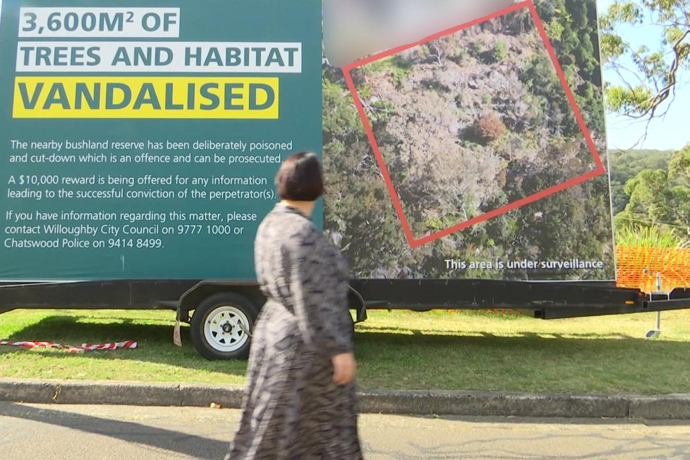 A sign about tree poisoning in Castle Cove