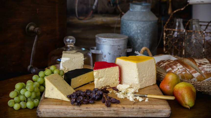 Cheese and bread in a photo shoot.