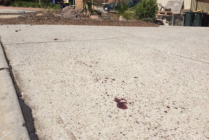 Blood splattered noa concrete driveway
