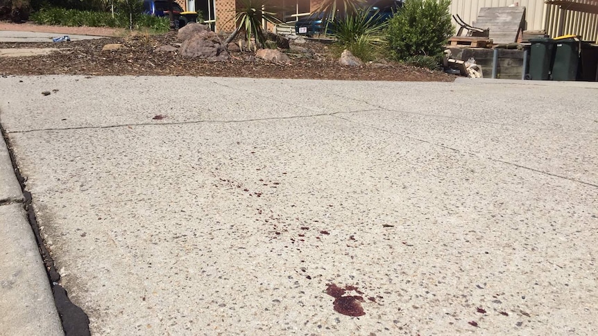Blood splattered noa concrete driveway