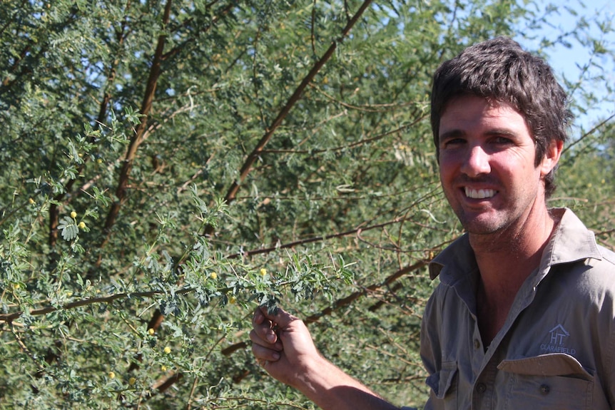 A man with short brown hair stands next to a spindly green bush.