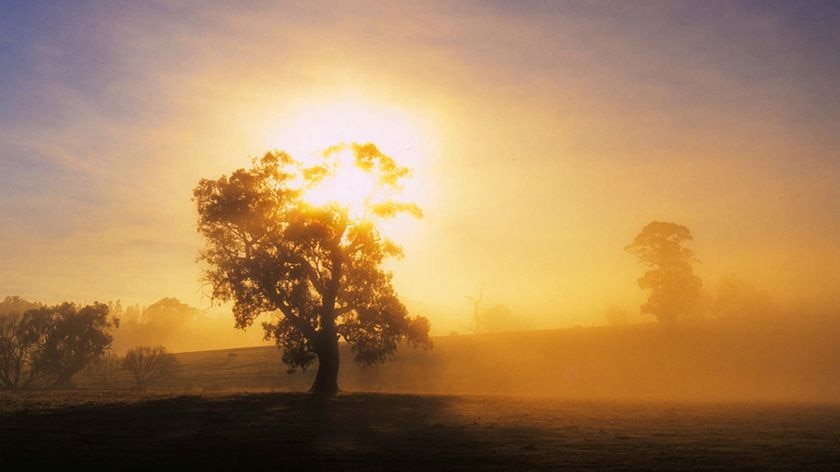 Early morning sunlight