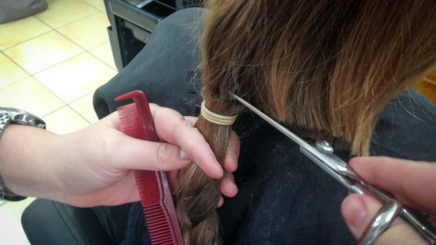 Child has their long hair tied back in a pony tail and plaited before being snipped off.