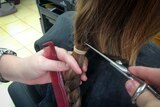 Child has their long hair tied back in a pony tail and plaited before being snipped off.
