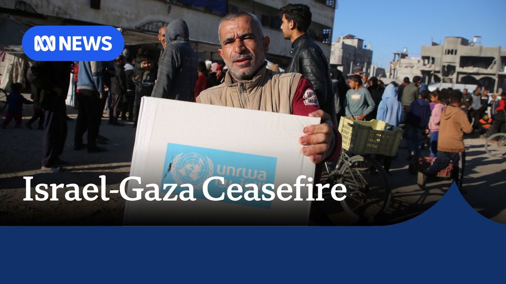 Hundreds of aid trucks enter Gaza as famine looms - ABC News