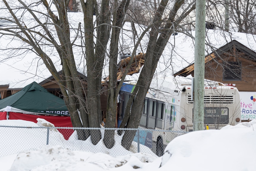 A bus crashed into a building behind a tree with snow in the foreground