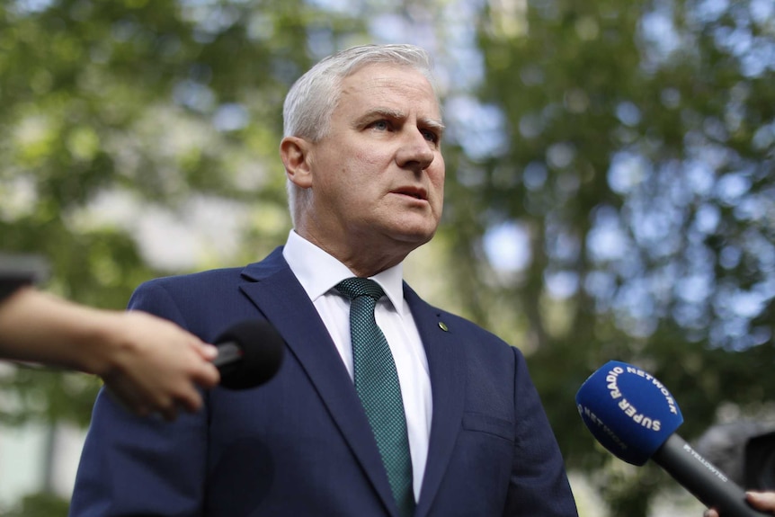 Michael McCormack speaks to the media in a courtyard at Parliament House