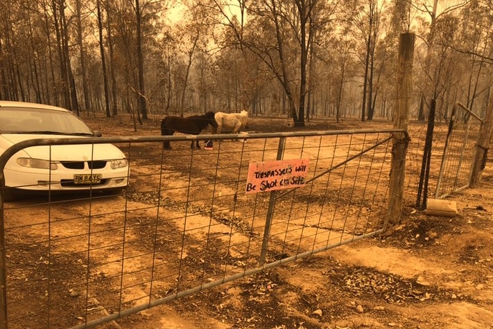 A car sits behind a gate with a sign that reads: "Trespassers will be shot on site."