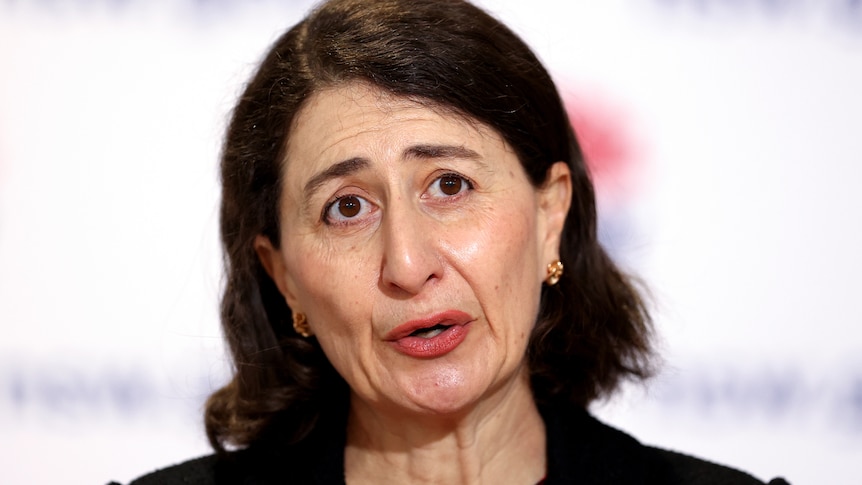Ayres tells corruption inquiry it would have been 'prudent' for Berejiklian to declare secret relationship