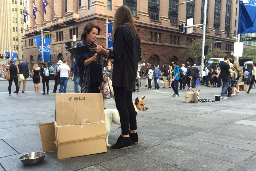 Animal shelter fundraiser Martin Place