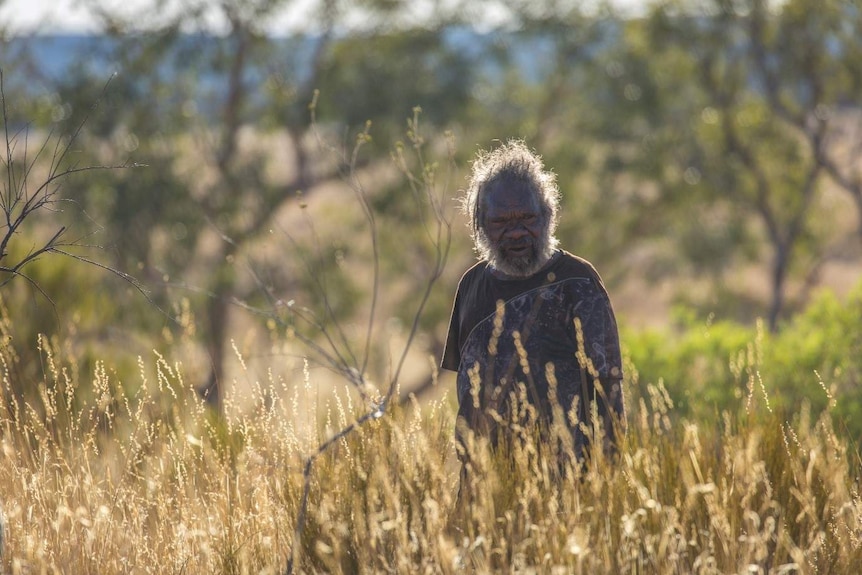 An old Indigenous man looks out across a swathe of spinifex.