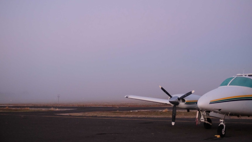 A plane sits on a regional airport at dusk.