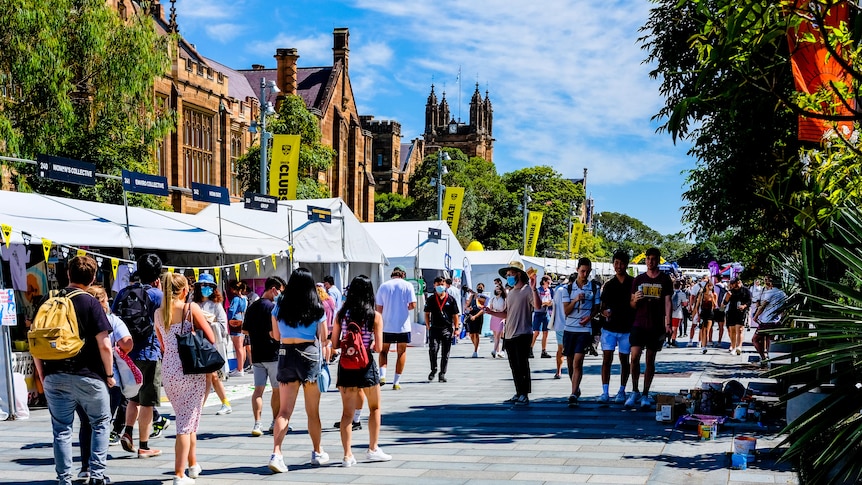 Students at the University of Sydney