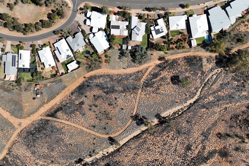A drone photo showing burnt landscape stopping right at homes in Alice