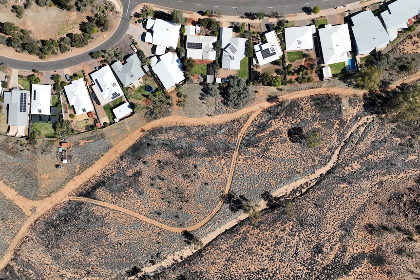 A drone photo showing burnt landscape stopping right at homes in Alice