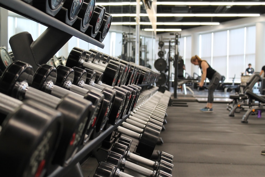 weight rack gym 