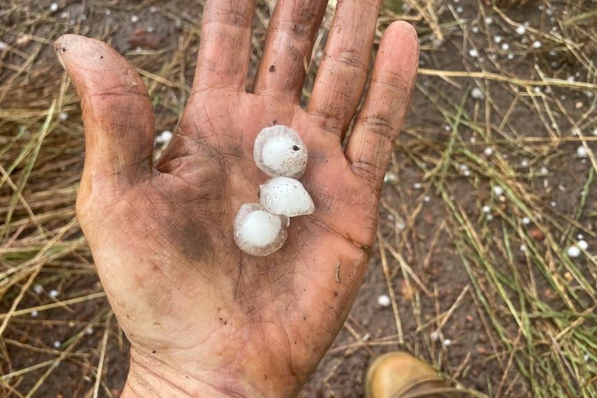 Large hail stones in hand