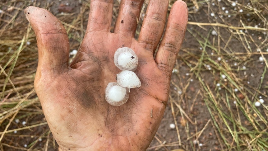 Large hail stones in hand.