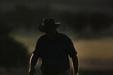 Dry times ahead?... a farmer on his drought-stricken land in Parkes, NSW.