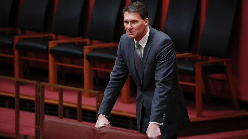 Cory Bernardi stands at the back of the Senate Chamber