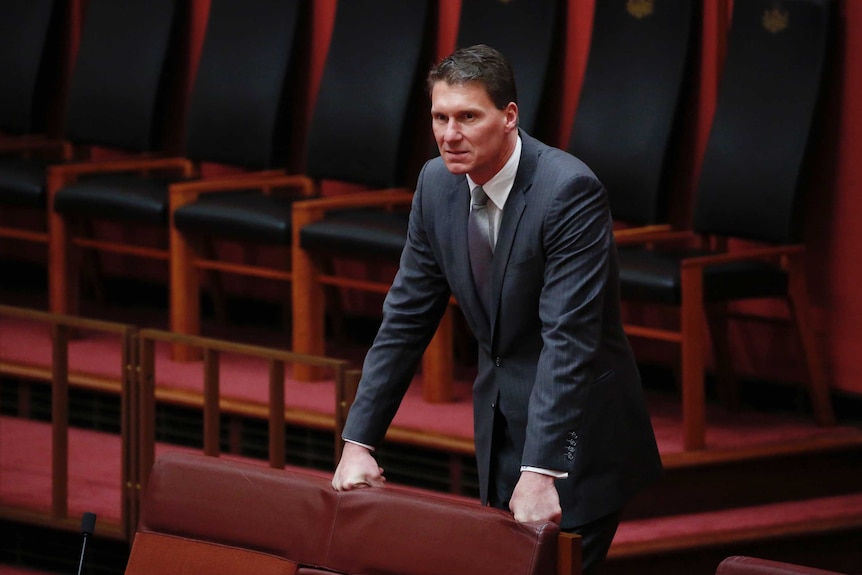 Cory Bernardi stands at the back of the Senate Chamber