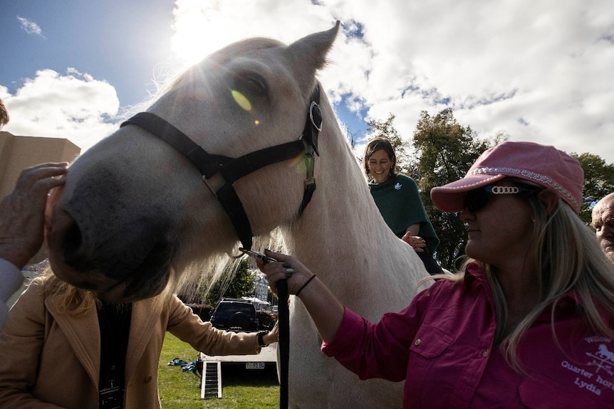 Cassy O'Connor sits on a horse.