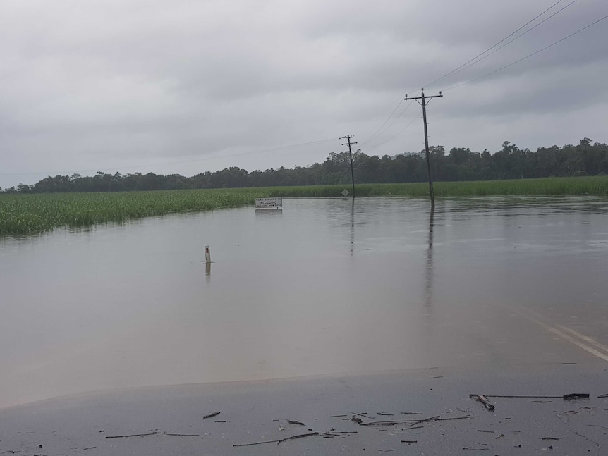 flooded road, with tops of road signs just showing above the water, bordered by inundated cane fields.