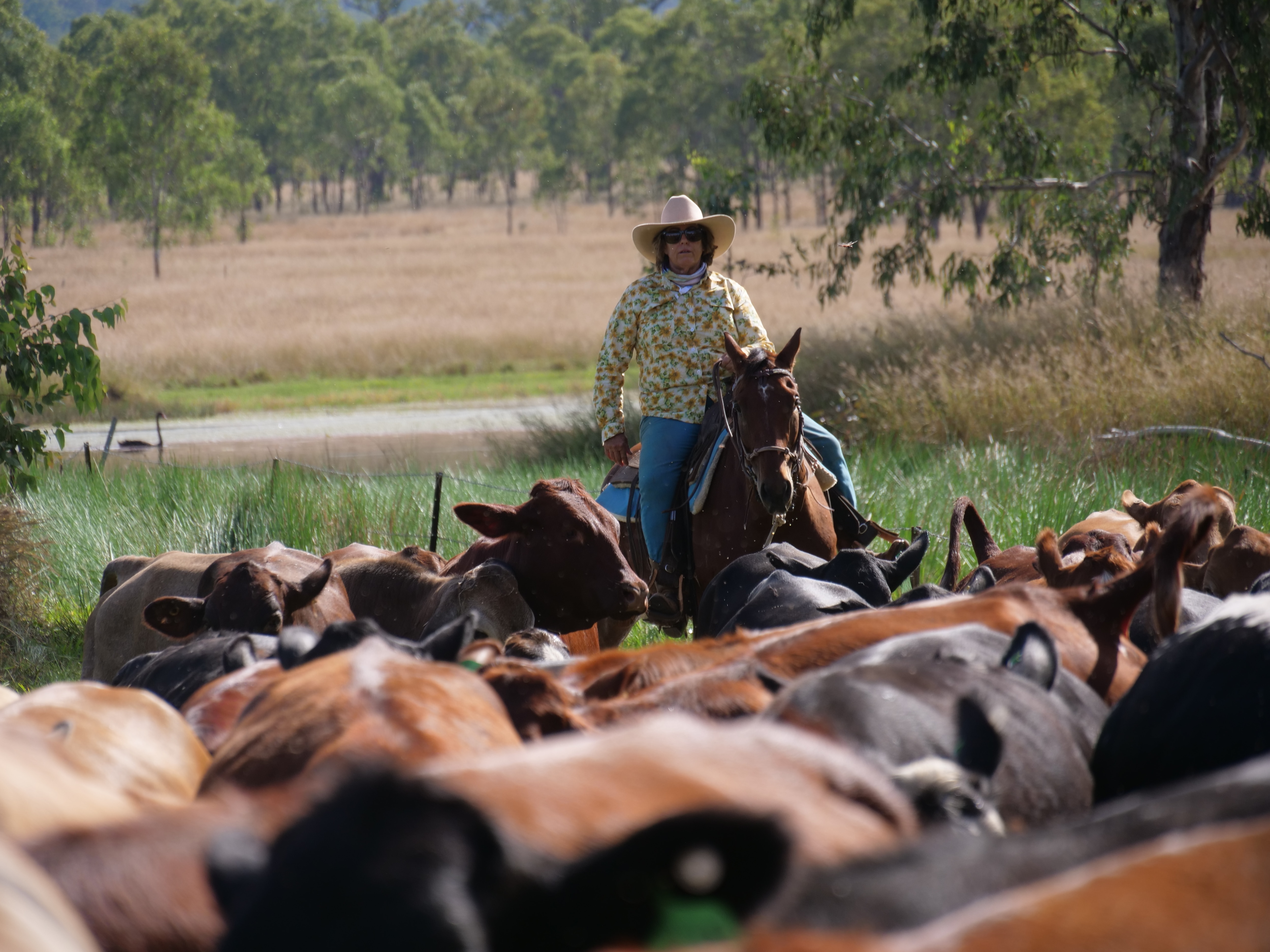 Bush community bands together to keep century-old tradition alive