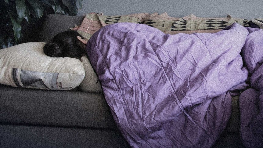 A woman sleeps on a couch, covered by a purple blanket.