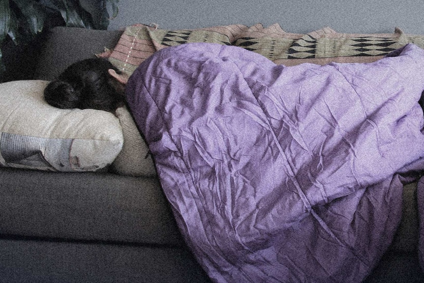 A woman sleeps on a couch covered in a purple blanket