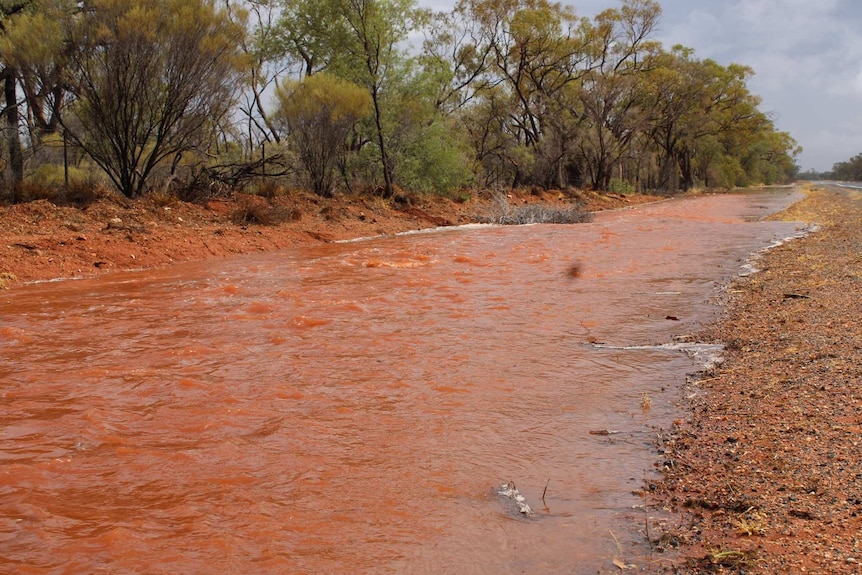 flooding on the side of an outback road