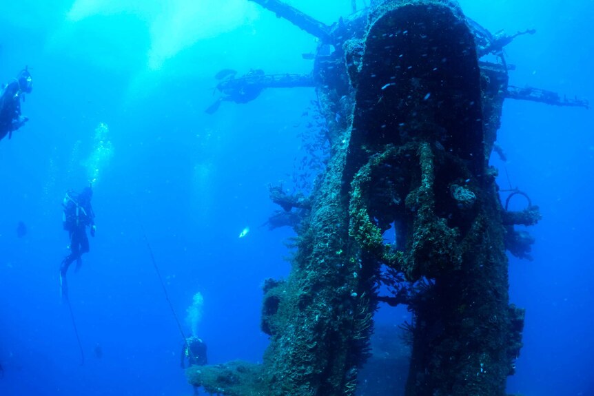Divers near the wreck of HMAS Swan