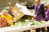 A man tips a big cardboard box full of green ballot papers onto a table as a woman watches on.