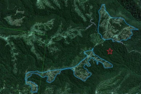 A satellite image showing logging.