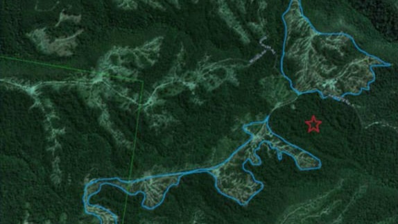 A satellite image showing logging.