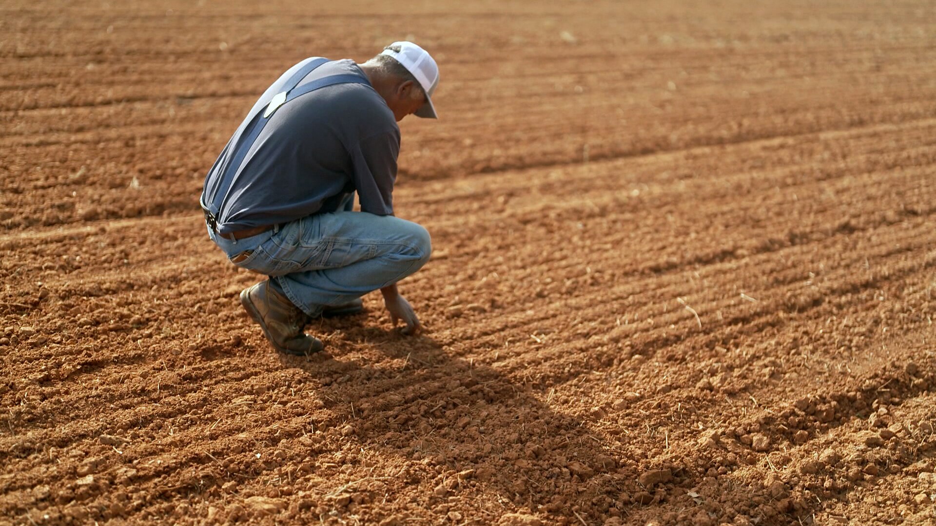 A man crouches and touches the dirt of a field of his farm. His back is to the camera.