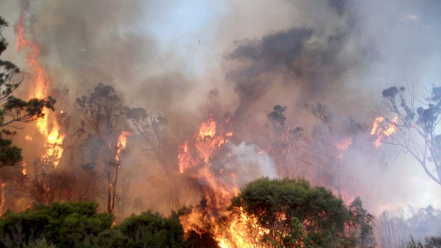 A bushfire near Northcliffe