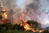 A bushfire near Northcliffe