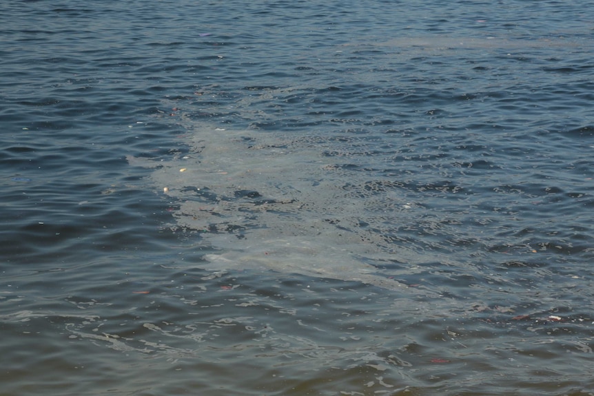 Polluted water in Rio