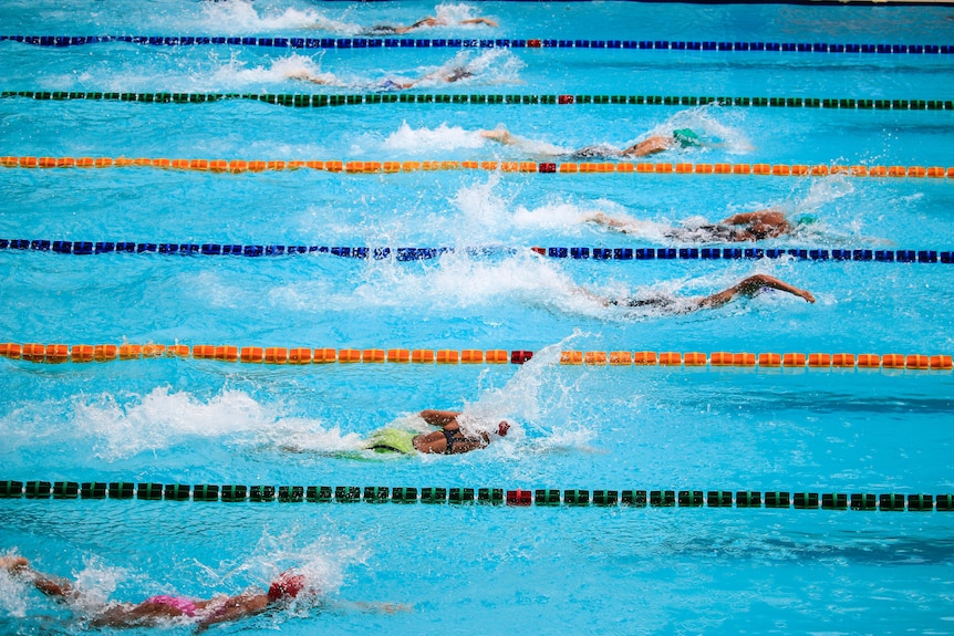 Swimmers competing in a race in a pool.