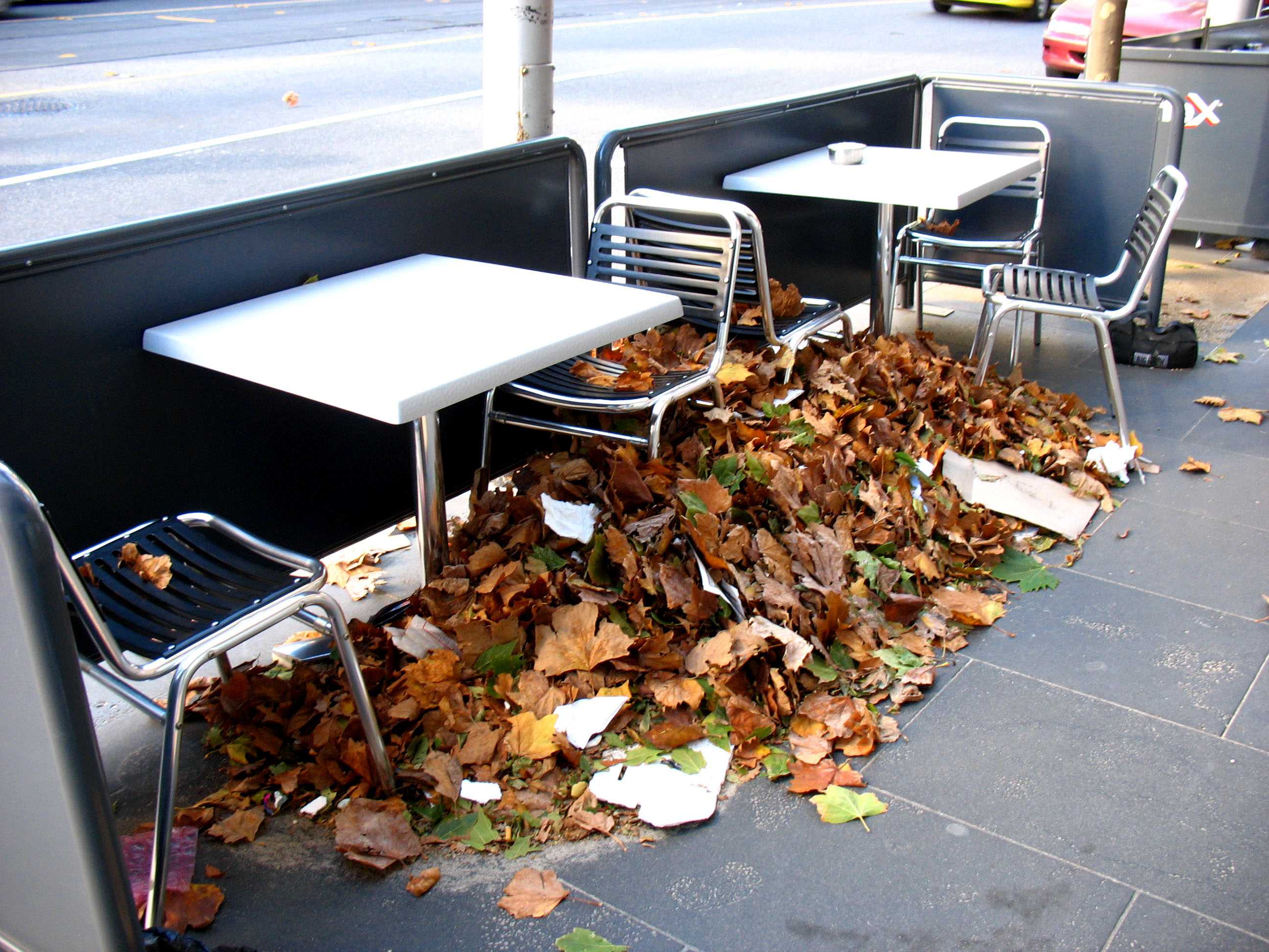 Why has it been so windy in Melbourne this winter? - ABC News