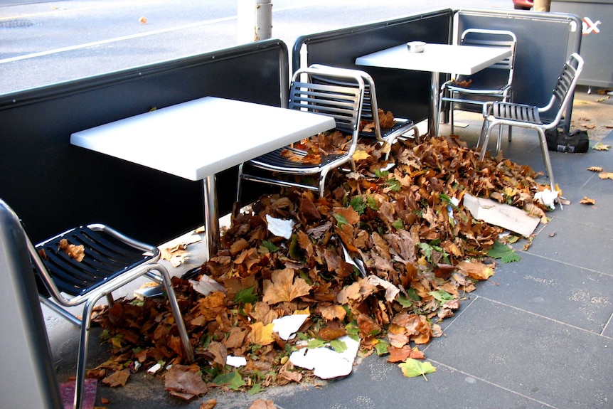 Leaves pile up around two metal cafe tables on the footpath during a windy day in Melbourne.