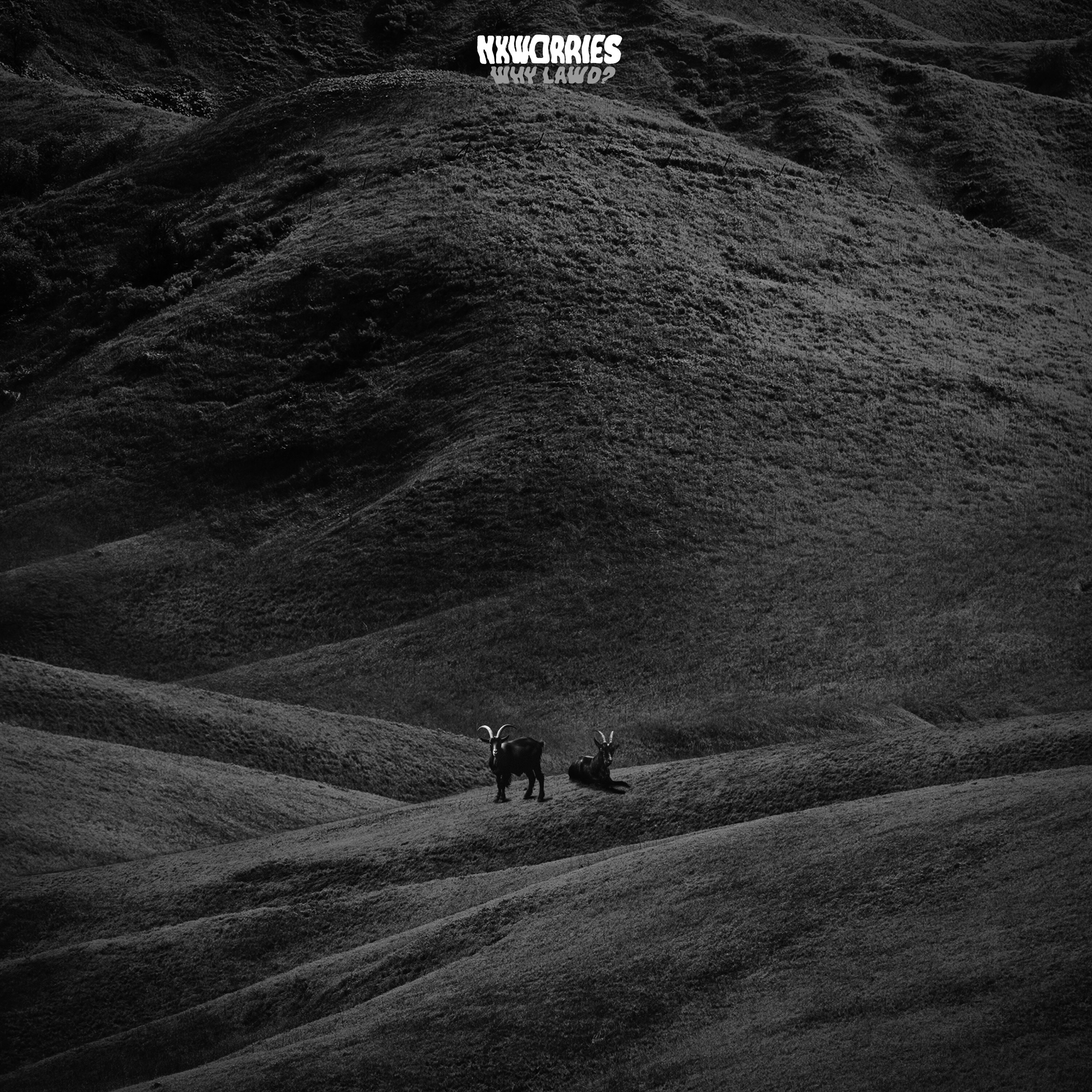 front cover of nxworries album why lawd is a dark, black and white image of two deer in a massive hilly field