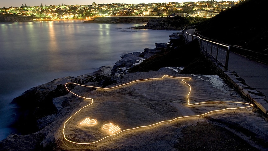 Whale shark rock carving at Mackenzies Point, illuminated by photographer Peter Solness