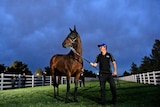 Sydney racehorse Winx and her strapper Oumt Odmieslioglu go for a light walk at Flemington race course in Melbourne.