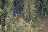 Rescue workers erect tarpaulins the site where an Airlines PNG Twin Otter aircraft crashed