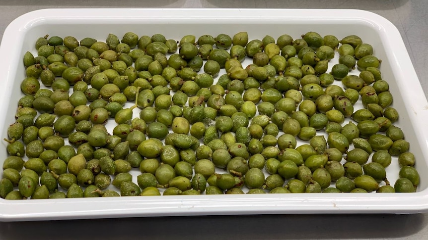 A tray of small green plums.