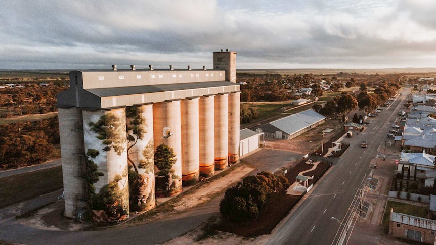 An aerial view of Karoonda's painted silos, with a road and buildings on the right.