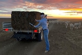 a sheep station in drought conditions with setting sun in background